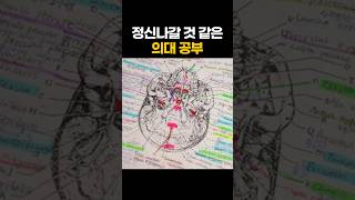 의대생들과 교수님의 생각 차이 ㅎㅎ