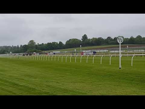 Lingfield Derby Trials 12/5/18 Oaks Trials Fillies Stakes