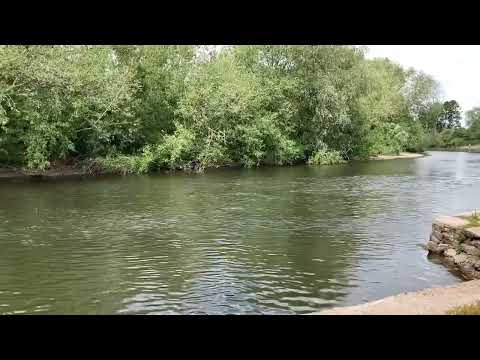 River Wye near Mordiford