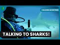 Shark Conservation Mission Chasing Monsters