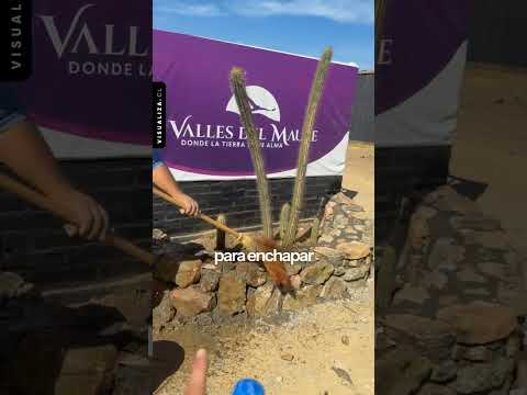 Así Avanza Valles del Maule 🚜 Proyecto en Desarrollo + Descuentos y Precios  #surdechile