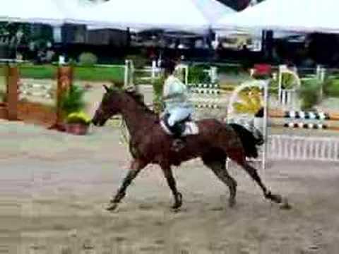 Sandro Melo - Brazil 2007