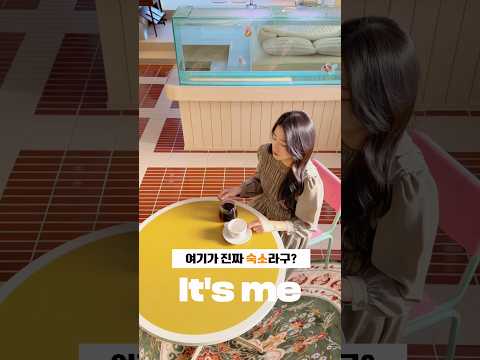 비디오 7