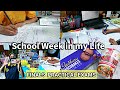 Last School Week in My Life | Productive Last few days of 11th|  Finals Practical Exam💫
