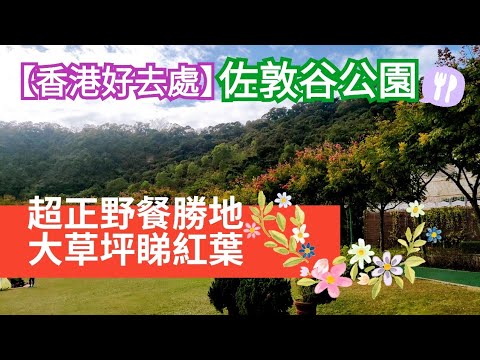 【香港好去處】佐敦谷公園超靚野餐胜利，親子大草坪睇紅葉