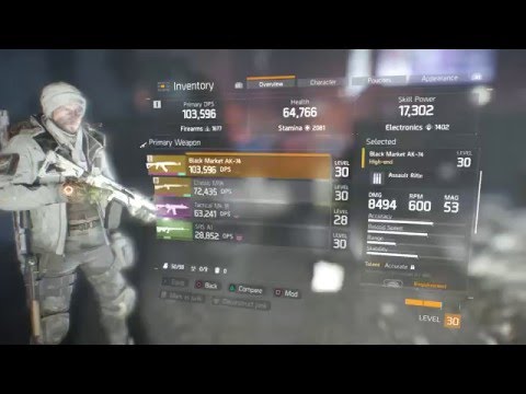 The Division - Best Assault Rifle (High-End Black Market AK-74)