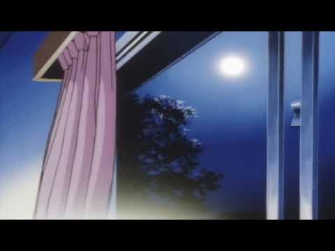 Paradise of Yesterday - Summer