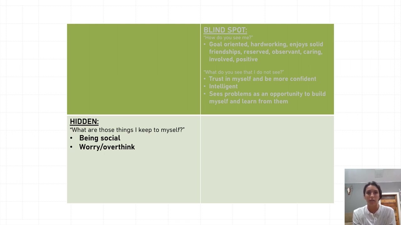 Johari Window Power Point