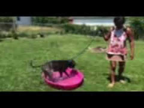 funny swimming lesson