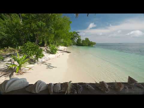 4K HDR Tropical Beach View   Relaxing Ocean Wave Sounds   Balcony Vista   Ultra HD Nature Video