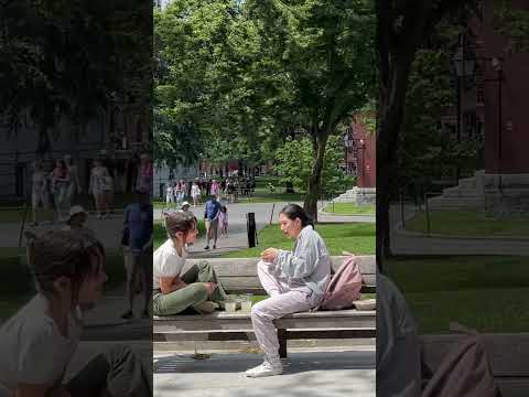 Harvard University Campus Tour