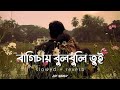 Bulbuli বুলবুলি Lofi Rimix Coke Studio Bangla বাগিচায় বুলবু