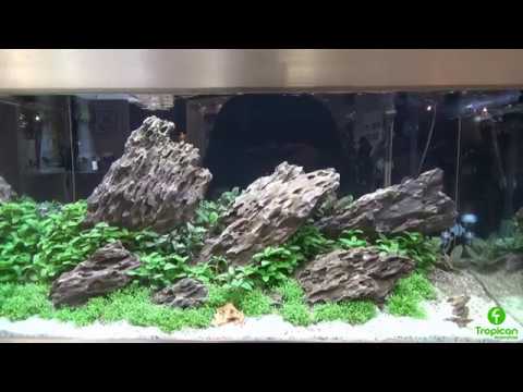 Watch Video on YouTube