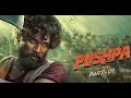 Pushpa The Rise Part 1 Full Movie In Hindi Pushpa Pushparaj