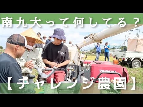 【チャレンジ農園2024】稲刈り②