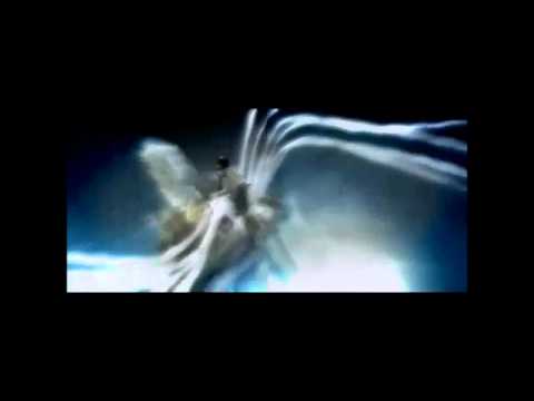 Tyrael Voice Comparison (pre-Diablo 3 launch)