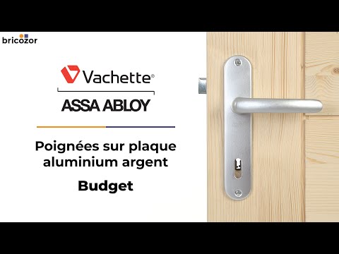 Poignées de porte sur plaques - aluminium argent - Budget VACHETTE