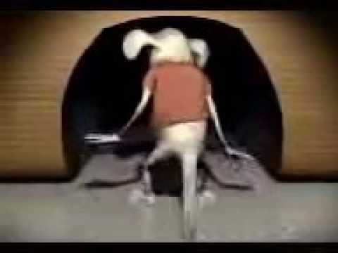 Bhande kali kara lo /subscribe❣️