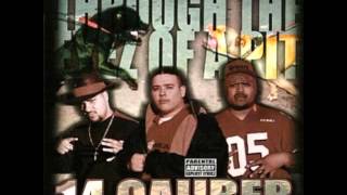 Reckonize My Stripes