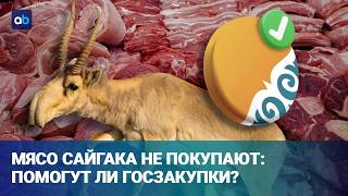 Сайга по 1600 тг за килограмм: почему дешёвый продукт не завоевал рынок?