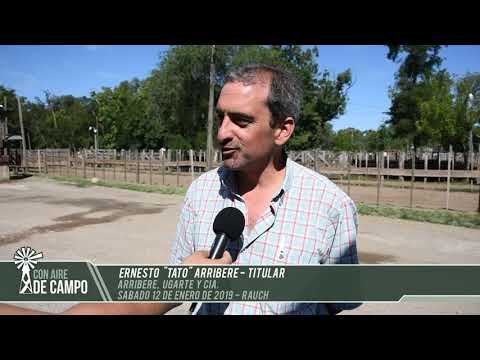 Ernesto "Tato" Arribere - Arribere, Ugarte y Cía - Sábado 12 de enero de 2019 - Rauch