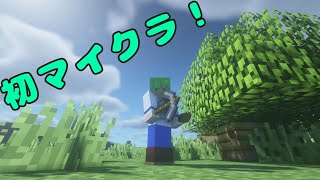 ［minecraft］さて、なにするか......