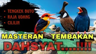 Download lagu MASTERAN KOMBINASI FULL TEMBAKAN CILILIN,TENGKEK BUTO & RAJA UDANG SUARA JERNIH mp3