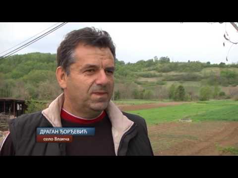 Rašljar Milija u službi pronalazača