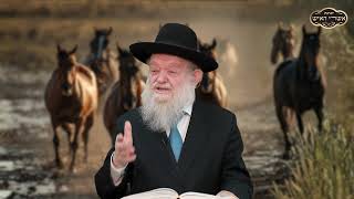 המטרה של עם ישראל | הרב יוסף צ. בן פורת (הרב יוסף צבי בן פורת) - התמונה מוצגת ישירות מתוך אתר האינטרנט יוטיוב. זכויות היוצרים בתמונה שייכות ליוצרה. קישור קרדיט למקור התוכן נמצא בתוך דף הסרטון המטרה של עם ישראל | הרב יוסף צ. בן פורת (הרב יוסף צבי בן פורת) - התמונה מוצגת ישירות מתוך אתר האינטרנט יוטיוב. זכויות היוצרים בתמונה שייכות ליוצרה. קישור קרדיט למקור התוכן נמצא בתוך דף הסרטון