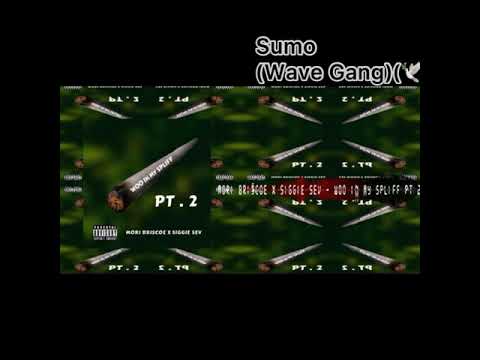 Every Person Dissed In Mori Briscoe x Siggie Sev - Woo In My Spliff Pt. 2