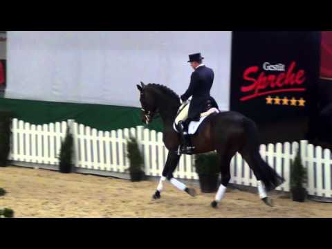 Feu D'Or : Fackeltanz X Rohdiamant X De Niro - Handorf 2016