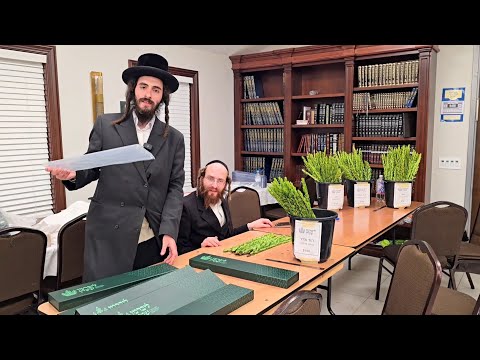 Why We Only Sell Hadassim: What Makes Hadassim Mehudar & How to Keep Them Fresh Throughout Yom Tov!
