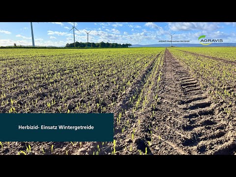 Pflanzenbau aktuell - AGRAVIS Niedersachsen-Süd GmbH