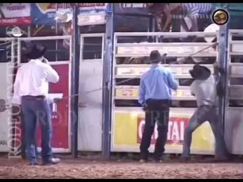 Jairo dos Santos Primo Pantaneiro Mister M, Cia Neguinho Del bixo Final da exponop 2010 Campeão