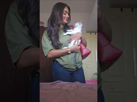 If you are a pet parent watch this 😱😨 #diml #minivlog #livingalone #petvlog