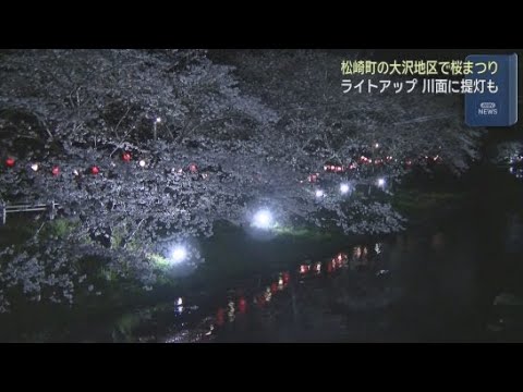 YouTube Video ソメイヨシノの名所で知られる松崎町の大沢地区で桜まつりが始まる