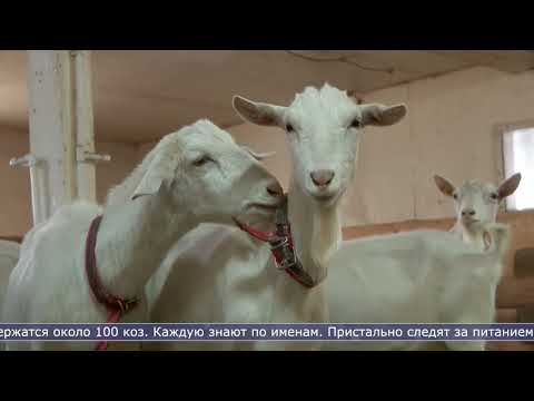 На Сахалине благодаря грантам развиваются семейные фермы