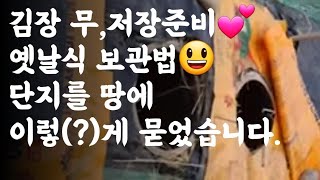 김장무 저장준비, 옛날 방식으로 땅에 단지를 묻었습니다.
