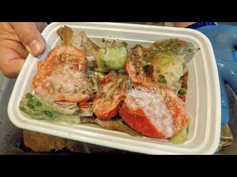 Horizontal migration check-in on oldest bin & in time lapse-bin - worm farm vermicomposting