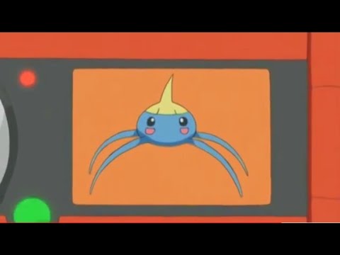 Surskit pokedex Entry