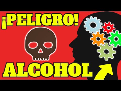 THIS HAPPENS TO YOUR BODY WHEN YOU DRINK WINE and BEER | THIS IS HOW ALCOHOL WORKS