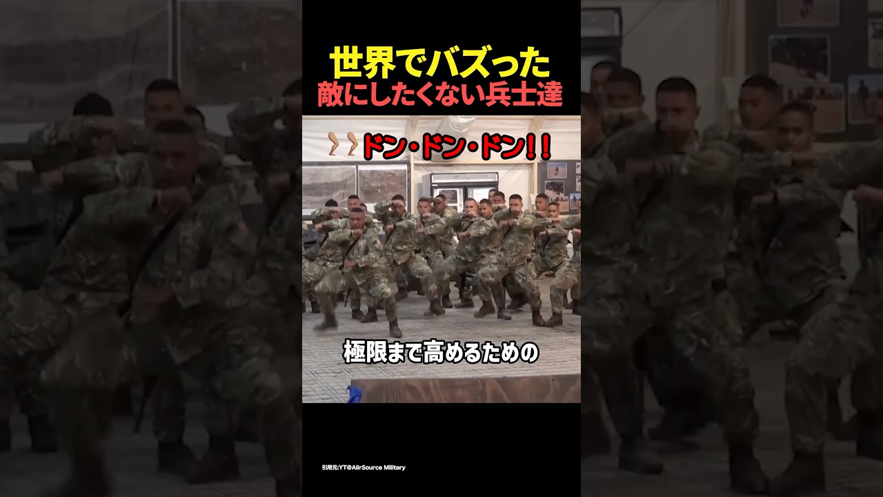 世界でバズった敵にしたくない兵士達