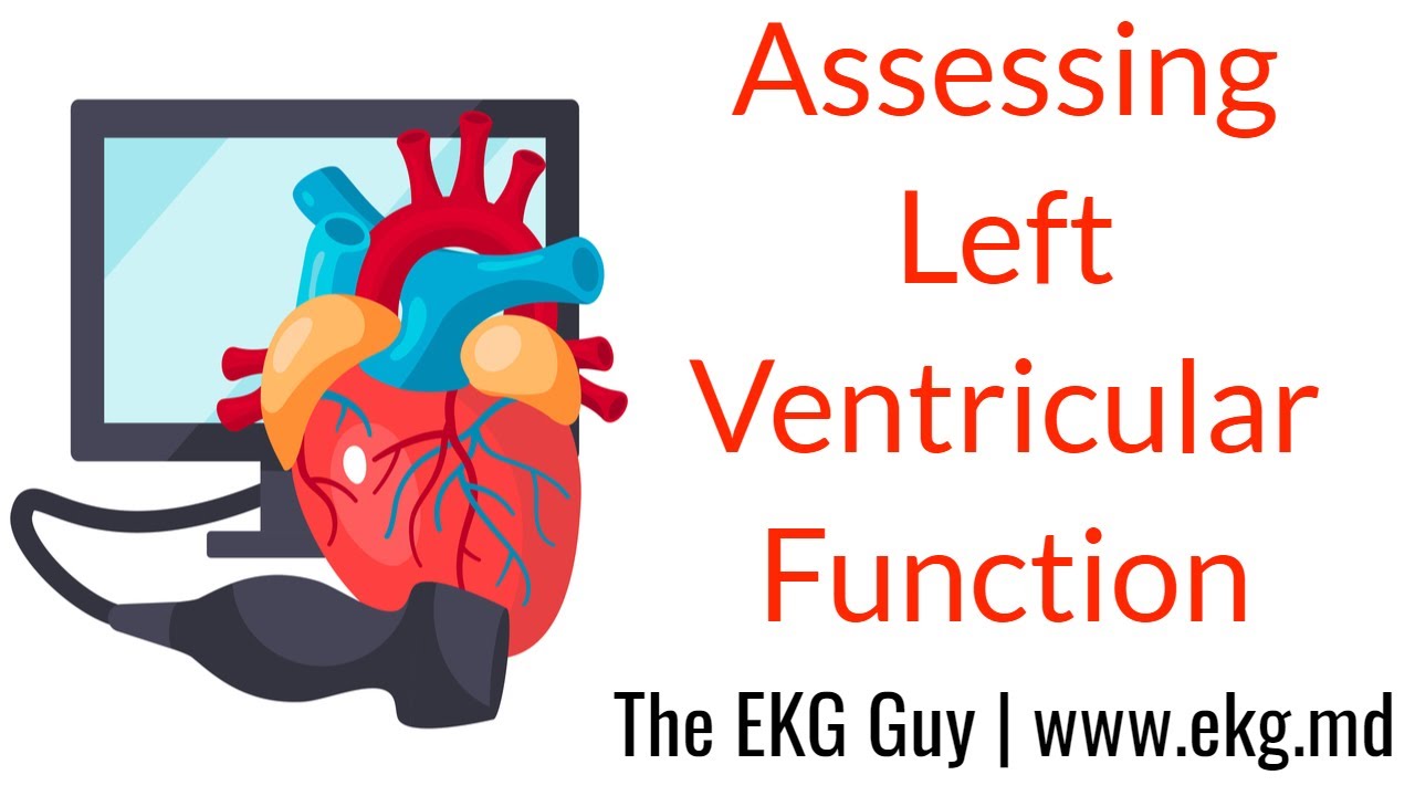 Assessing Left Ventricular Function - ECHO Course l The EKG Guy - www.ekg.md