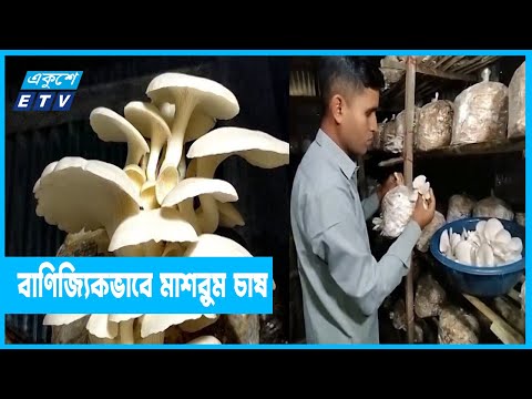 মাশরুম চাষে ভাগ্য ফিরেছে রিয়াজের