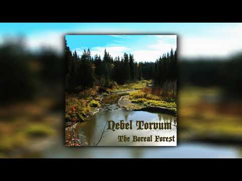 Nebel Torvum - The Boreal Forest (Full Album) (Forest Synth / Fantasy Synth)
