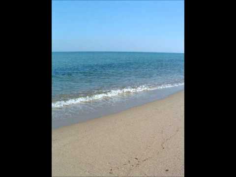 Balli di gruppo   YMCA