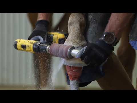 EasyShoe One Glue Finished with HoofLox Super Glue