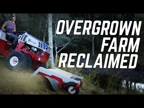 Una donna. Un trattore. Risultati meravigliosi.