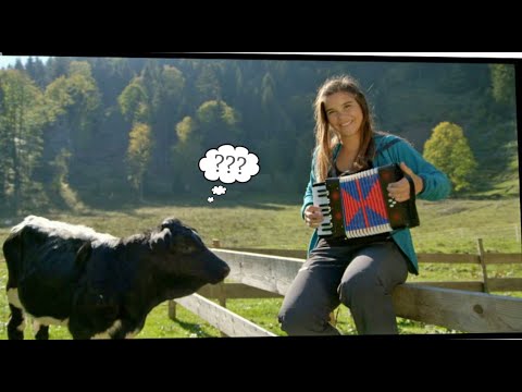 Kaibe Kimm | Kinderlied | Anna auf der Alm