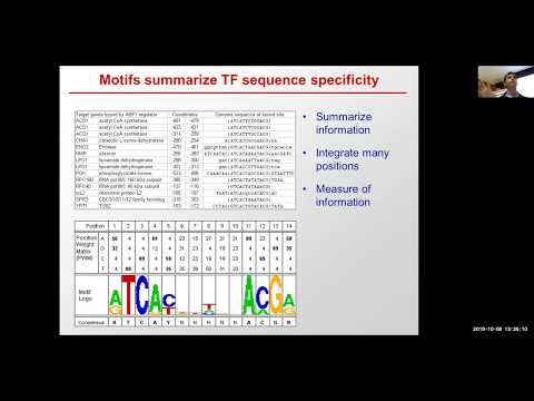 MIT CompBio Lecture 10 - Regulatory Genomics (Fall '19)